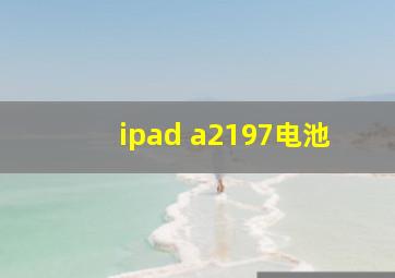 ipad a2197电池