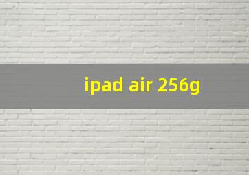 ipad air 256g