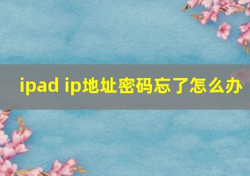 ipad ip地址密码忘了怎么办