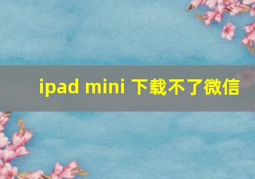 ipad mini 下载不了微信