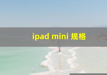 ipad mini 规格