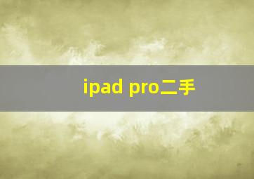 ipad pro二手