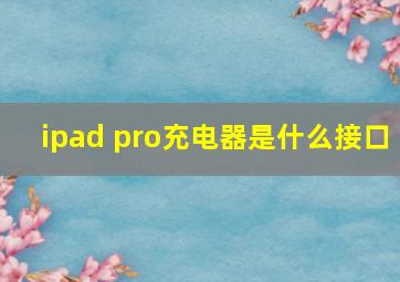 ipad pro充电器是什么接口