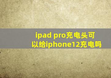 ipad pro充电头可以给iphone12充电吗