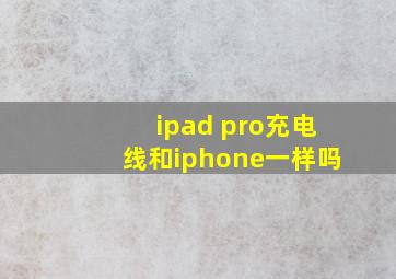 ipad pro充电线和iphone一样吗