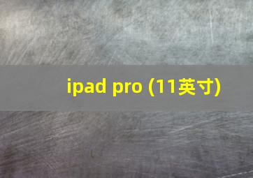 ipad pro (11英寸)