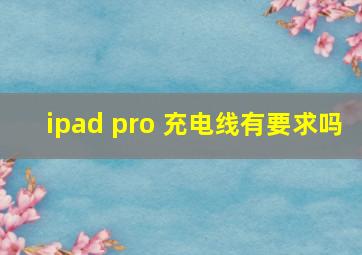 ipad pro 充电线有要求吗