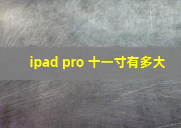 ipad pro 十一寸有多大