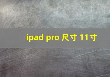 ipad pro 尺寸 11寸