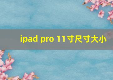 ipad pro 11寸尺寸大小