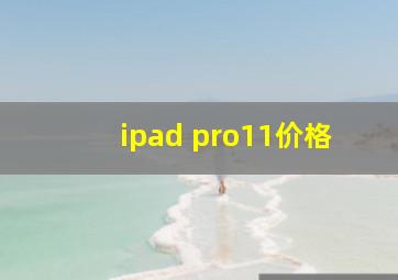 ipad pro11价格