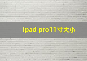 ipad pro11寸大小