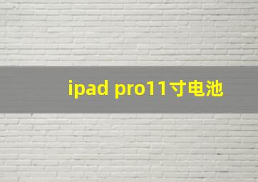 ipad pro11寸电池