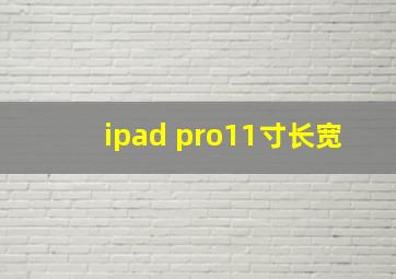 ipad pro11寸长宽