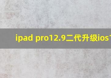 ipad pro12.9二代升级ios14