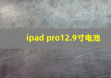 ipad pro12.9寸电池