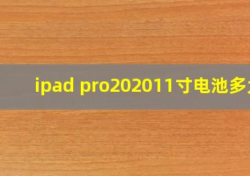 ipad pro202011寸电池多大