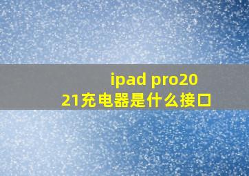 ipad pro2021充电器是什么接口