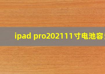 ipad pro202111寸电池容量