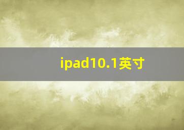 ipad10.1英寸