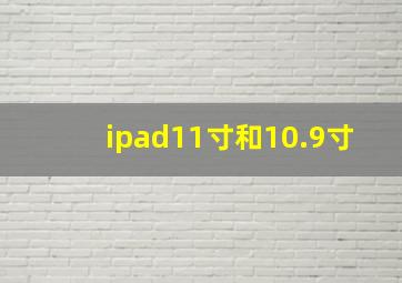 ipad11寸和10.9寸