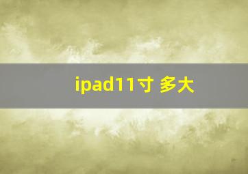 ipad11寸 多大