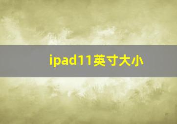 ipad11英寸大小