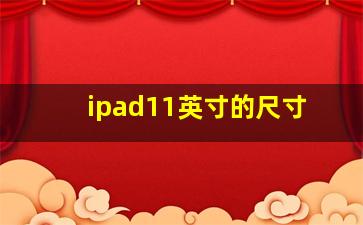 ipad11英寸的尺寸