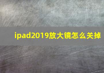 ipad2019放大镜怎么关掉