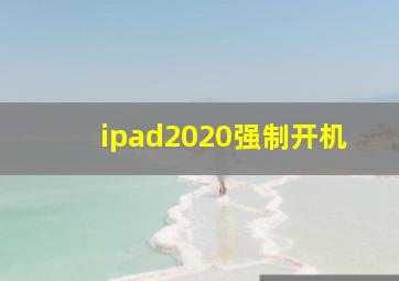 ipad2020强制开机