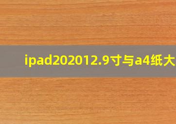 ipad202012.9寸与a4纸大小