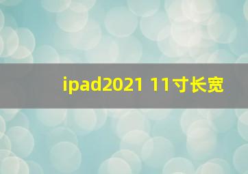 ipad2021 11寸长宽