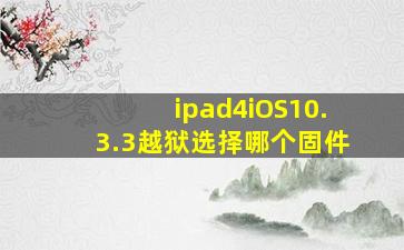 ipad4iOS10.3.3越狱选择哪个固件