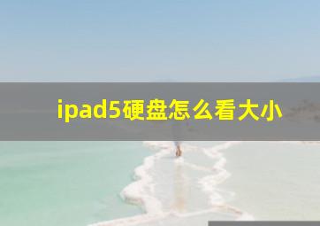 ipad5硬盘怎么看大小