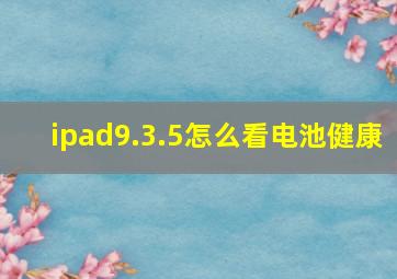 ipad9.3.5怎么看电池健康