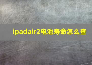 ipadair2电池寿命怎么查