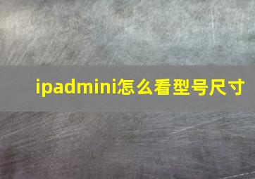 ipadmini怎么看型号尺寸