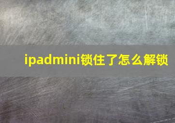 ipadmini锁住了怎么解锁