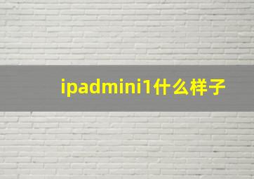 ipadmini1什么样子