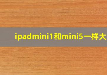 ipadmini1和mini5一样大吗