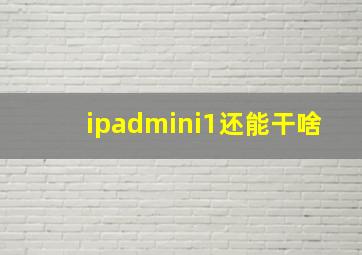 ipadmini1还能干啥