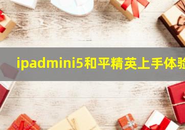 ipadmini5和平精英上手体验