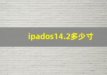 ipados14.2多少寸