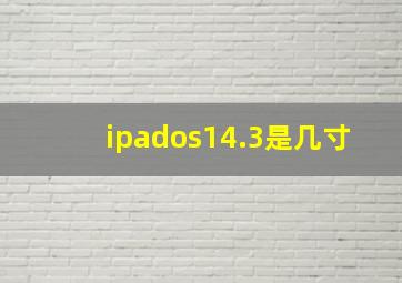 ipados14.3是几寸