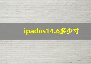 ipados14.6多少寸