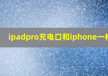 ipadpro充电口和iphone一样吗