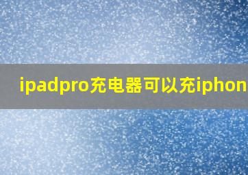 ipadpro充电器可以充iphone吗