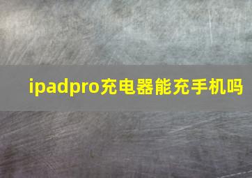 ipadpro充电器能充手机吗