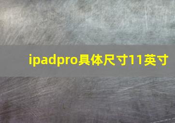 ipadpro具体尺寸11英寸