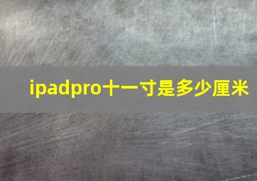 ipadpro十一寸是多少厘米